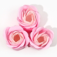 Мыло лепестковое «Самой нежной на свете», 3 х 11 г, аромат цветочный, ЧИСТОЕ СЧАСТЬЕ Мыло лепестковое «Самой нежной на свете», 3 х 11 г, аромат цветочный, ЧИСТОЕ СЧАСТЬЕ