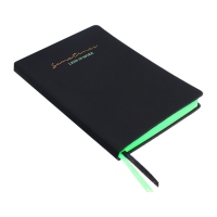Ежедневник недатированный, A5, 136 листов, кожзам, deVENTE. Ultra, твердая обложка,тиснение фольгой, перфорация, ляссе, блок 70%, черный/зеленый