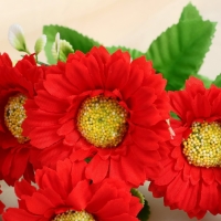 Букет "Гербера галант люкс" 7х26 м, микс Букет "Гербера галант люкс" 7х26 м, микс