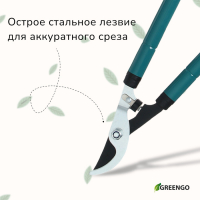 Сучкорез плоскостной, 22.5&ndash;33" (57&ndash;84 см), телескопический, с резиновыми ручками, Greengo