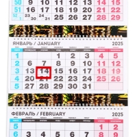 Календарь 2025 настенный, квартальный &laquo;Новый год: Богатого 2025&raquo;, 29,5 х 73 см, новогодняя серия