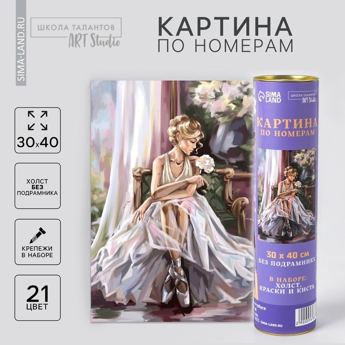 Картина по номерам в тубусе &laquo;Балерина&raquo;, 30 х 40 см