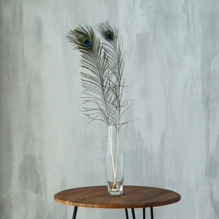 Перо павлина для декора 1 шт., размер &mdash; от 70 до 80 см