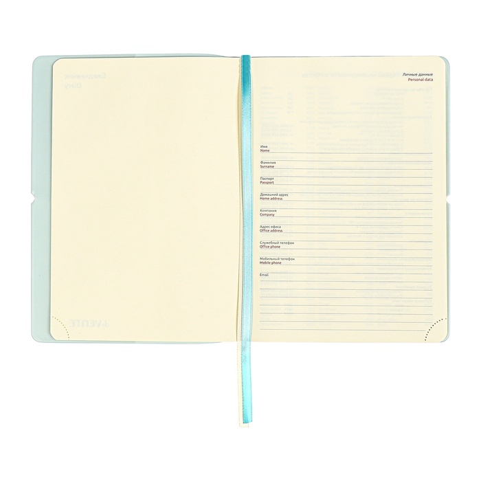 Ежедневник недатированный A5 136 листов deVENTE. Jane, мягкая обложка пвх, резинка, перфорация, ляссе, блок 70, голубой