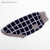 Свитер, размер 16 (ДС 45-60, ОШ 20-37, ОГ 37-52 см), микс расцветок Свитер, размер 16 (ДС 45-60, ОШ 20-37, ОГ 37-52 см), микс расцветок