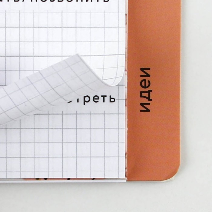 Планинг с разделителями &laquo;365 дней&raquo;, мягкая обложка, формат А5, 50 листов