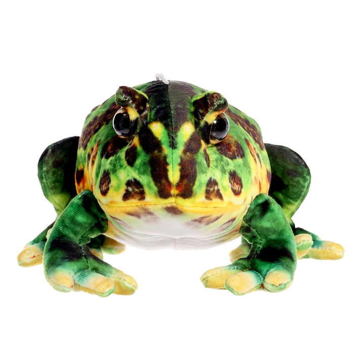 Мягкая игрушка «Лягушка», 17 см Мягкая игрушка «Лягушка», 17 см