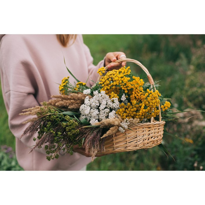 Корзина &laquo;Карина&raquo;, №2, дно:19&times;28 см, верх:34&times;28 см, H=8/40 см, ручное плетение, ива