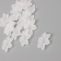 Бусины для творчества пластик "Шестилистный цветок белый матовый" набор 40 шт 2,1х2,1 см Бусины для творчества пластик "Шестилистный цветок белый матовый" набор 40 шт 2,1х2,1 см