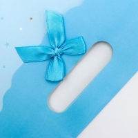 Подарочная коробка-пакет, упаковка с вырубной ручкой, "Голубая грация" , 24 х 12 х 31 см Подарочная коробка-пакет, упаковка с вырубной ручкой, "Голубая грация" , 24 х 12 х 31 см