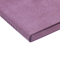 Еженедельник датированный 2025 года, 80х165 мм, 64 листа ESCALADA, мягкая обложка из искусственной кожи, блинтовое тиснение, блок 70 г/м&sup2;, сиреневый