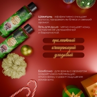 Новогодний подарочный набор косметики &laquo;Зимняя сказка&raquo;, с ароматом розы и корицы. Зеленая серия