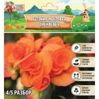 Бегония махровая "Оранжевая", р-р 4/5, 5 шт, Бегония махровая "Оранжевая", р-р 4/5, 5 шт,