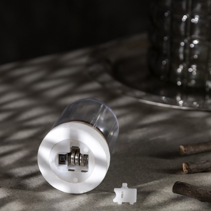 Светодиодная фигура под куполом «Дед Мороз» 6 × 9.5 × 6 см, дерево, батарейки LR1130х3 (нет в комплекте), свечение тёплое белое Светодиодная фигура под куполом «Дед Мороз» 6 × 9.5 × 6 см, дерево, батарейки LR1130х3 (нет в комплекте), свечение тёплое белое