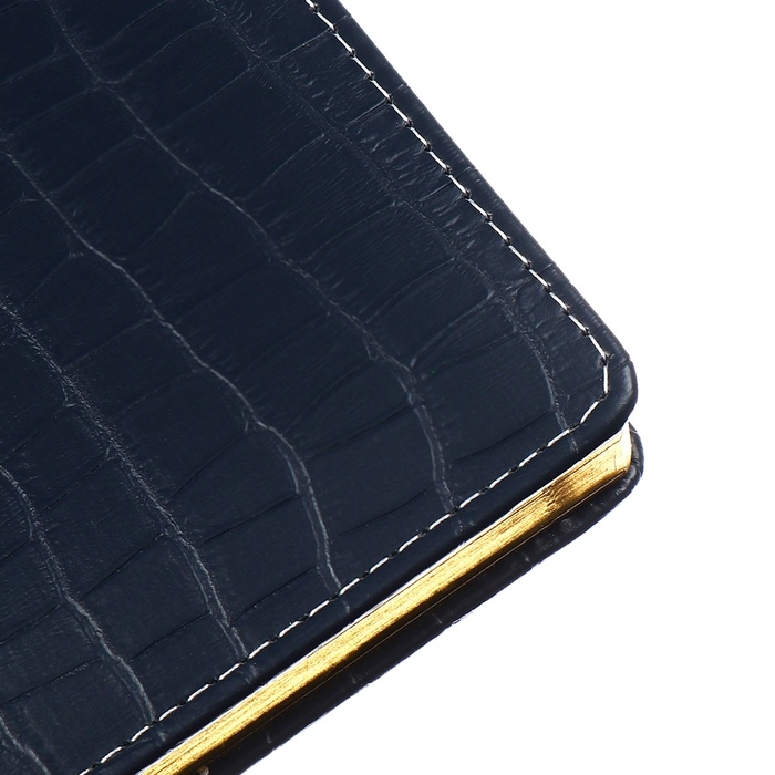 Ежедневник датированный 2025 года, deVENTE. Flag, B5 168 листов, deVENTE.Barbara, твердая обложка кожзам с поролоном, перфорация, ляссе, блок 70 г/м2, темно-синий