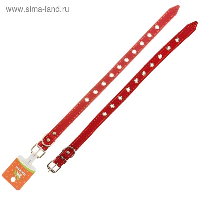 Ошейник кожаный однослойный безразмерный, 45 х 2 см, ОШ 18-39 см, красный