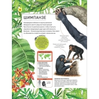 Энциклопедия &laquo;Удивительные животные&raquo;