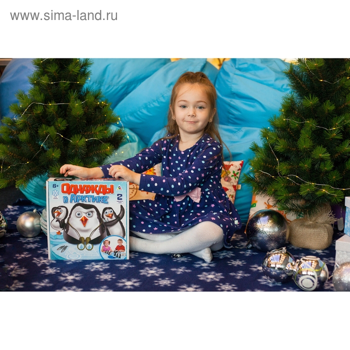 Настольная игра-головоломка &laquo;Однажды в Арктике&raquo;, 1-4 игроков, 6+