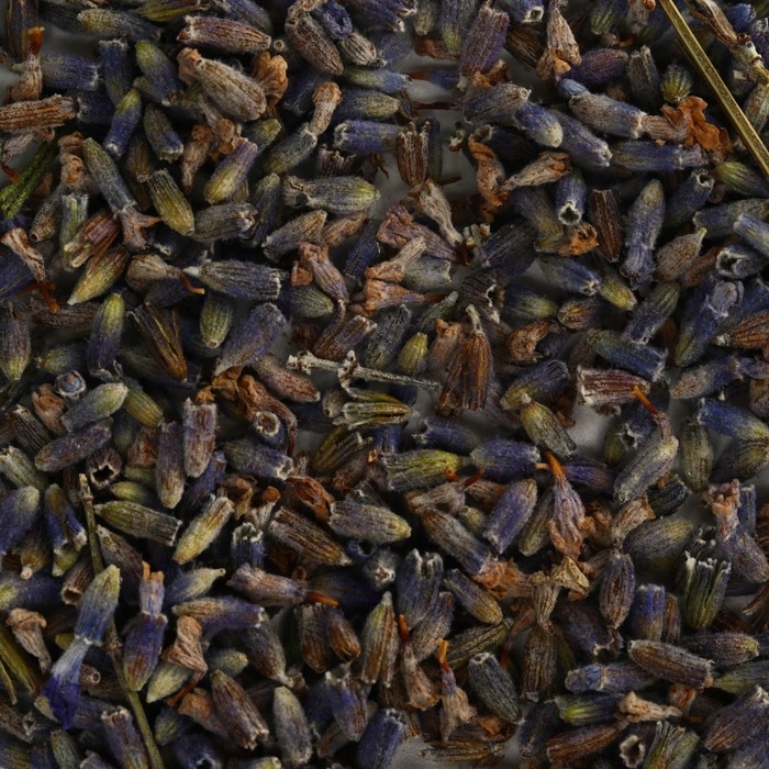 Цветы сухие «Лаванда» для капкейков, тортов, напитков, 5 г. Цветы сухие «Лаванда» для капкейков, тортов, напитков, 5 г.