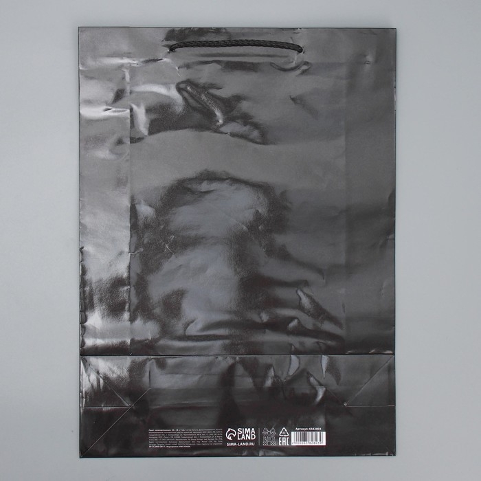 Пакет подарочный ламинированный, упаковка, «Чёрный», L 28 х 38 х 9 см Пакет подарочный ламинированный, упаковка, «Чёрный», L 28 х 38 х 9 см