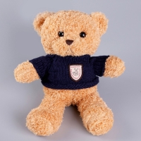 Мягкая игрушка &laquo;Медведь&raquo; в кофте, 28 см, цвет МИКС