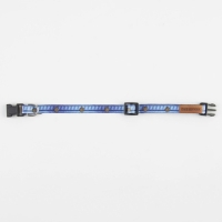 Ошейник для собак и кошек с фастексом &laquo;Любимчик&raquo;, 30х1 см