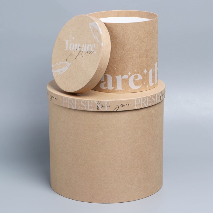 Набор коробок 5 в 1, упаковка подарочная, &laquo;Крафт&raquo;, 13 х 13,5‒19.5 х 23 см