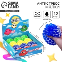 Антистресс сквиш мялка «Полетаем?», с жидкостью, микс, в шоубоксе Антистресс сквиш мялка «Полетаем?», с жидкостью, микс, в шоубоксе