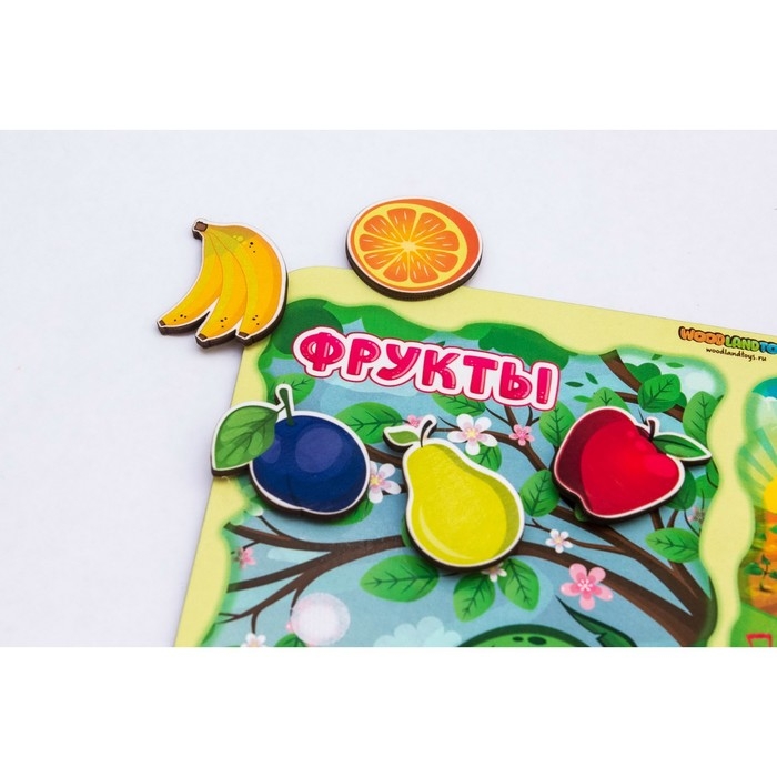 Сортер &laquo;Какая разница? Фрукты-овощи&raquo;, на липучках