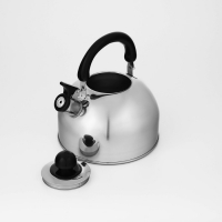 Чайник со свистком из нержавеющей стали Доляна &laquo;Чёрная ночь&raquo;, 3 л, фиксированная ручка, цвет хромированный