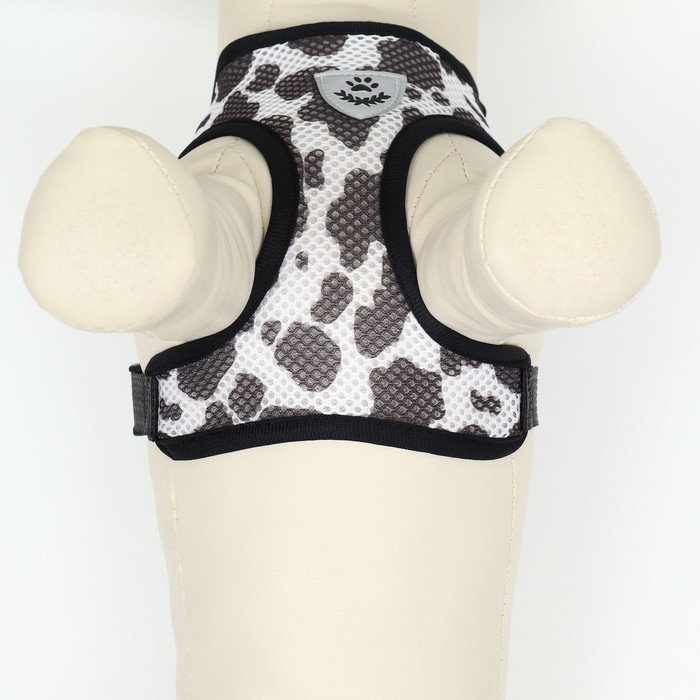 Комплект для собак 3-5 кг, размер S, поводок 120 х 1,5 см, ОШ 24 см, ОГ 34 см