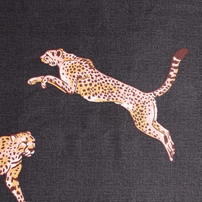 Постельное бельё Павлайн 2сп Гепарды 175х215 ,180х215, 70х70см 2шт полисатин 70г/м, полиэстер 100% Постельное бельё Павлайн 2сп Гепарды 175х215 ,180х215, 70х70см 2шт полисатин 70г/м, полиэстер 100%