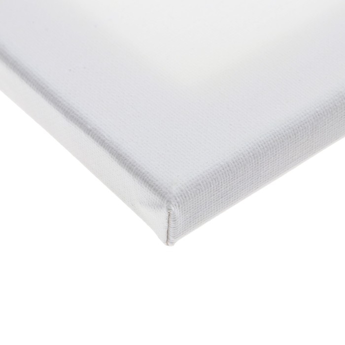 Холст на подрамнике 1,6х80х100 см, хлопок 100%, акриловый грунт, мелкозернистый, 280г/м² Холст на подрамнике 1,6х80х100 см, хлопок 100%, акриловый грунт, мелкозернистый, 280г/м²