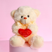 Мягкая игрушка «Ты - мой мир!», медведь, цвета МИКС Мягкая игрушка «Ты - мой мир!», медведь, цвета МИКС