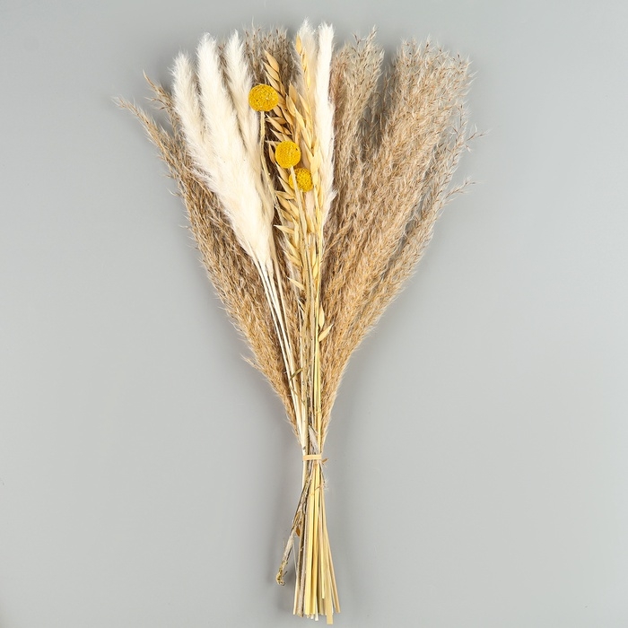 Сухоцветы &laquo;Сказка&raquo;, набор из 4 видов, 48 &times; 16 &times; 6 см