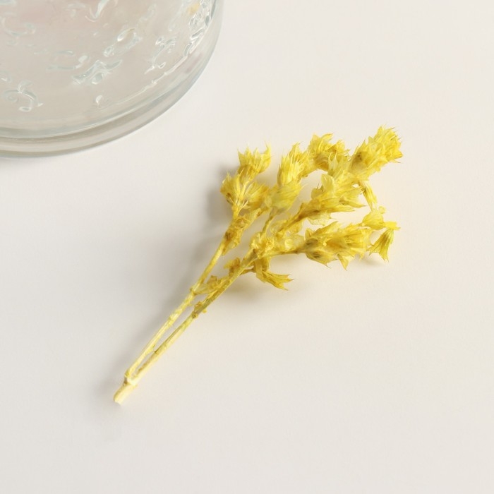 Набор сухоцветов "Шандра", банч длина 40 (+/- 6 см), яблоко