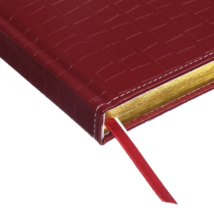 Ежедневник датированный 2025 B6 168 листов, deVENTE. Wild, твердая обложка кожзам с поролоном, перфорация, ляссе, блок 70, бордо