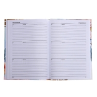 Ежедневник недатированный на сшивке А5 144 листа, картон 7БЦ "Любимому преподавателю" Ежедневник недатированный на сшивке А5 144 листа, картон 7БЦ "Любимому преподавателю"