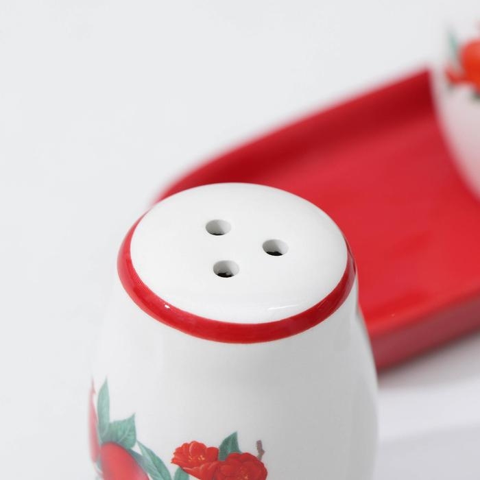 Набор для специй Доляна &laquo;Гранат&raquo;, 2 предмета: солонка, перечница, 130 мл