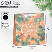 Пакет подарочный новогодний крафтовый квадратный &laquo;С Новым годом&raquo;, 30 х 30 х 12 см, Новый год