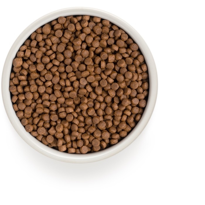 Сухой корм Grandorf для кошек, 4 мяса с пробиотиками, низкозерновой, 2 кг