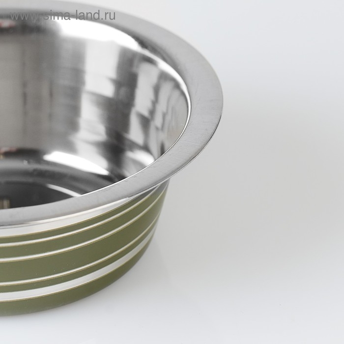 Миска стандартная цветная с полосой, 400 мл, зелёная Миска стандартная цветная с полосой, 400 мл, зелёная