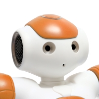 Робот «Хантер», радиоуправляемый, световые и звуковые эффекты, работает от аккумулятора, цвет оранжевый Робот «Хантер», радиоуправляемый, световые и звуковые эффекты, работает от аккумулятора, цвет оранжевый