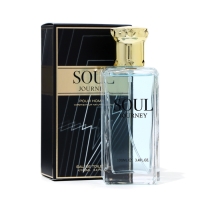 Туалетная вода мужская Soul Journey, 100 мл Туалетная вода мужская Soul Journey, 100 мл