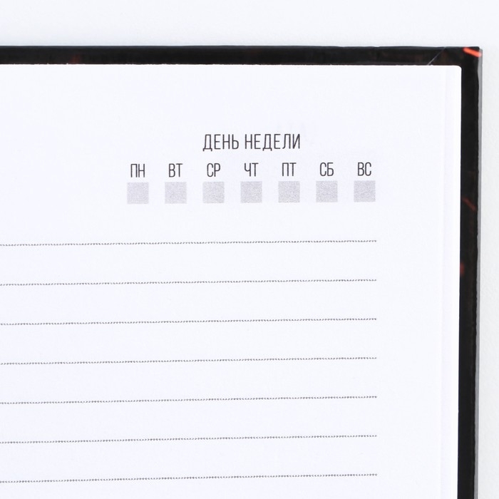 Ежедневник &laquo;Настоящий&raquo; А5, 80 листов