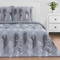 Постельное бельё Этель Евро «Перья» (вид 2) 200х217 см, 220х240 см, 70х70 см -2 шт,поплин 125 г/м2 Постельное бельё Этель Евро «Перья» (вид 2) 200х217 см, 220х240 см, 70х70 см -2 шт,поплин 125 г/м2