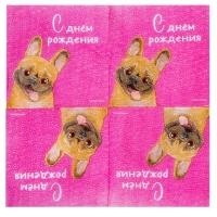 Салфетки бумажные &laquo;С Днём Рождения&raquo;, пёсель, 24 х 24 см, 20 шт