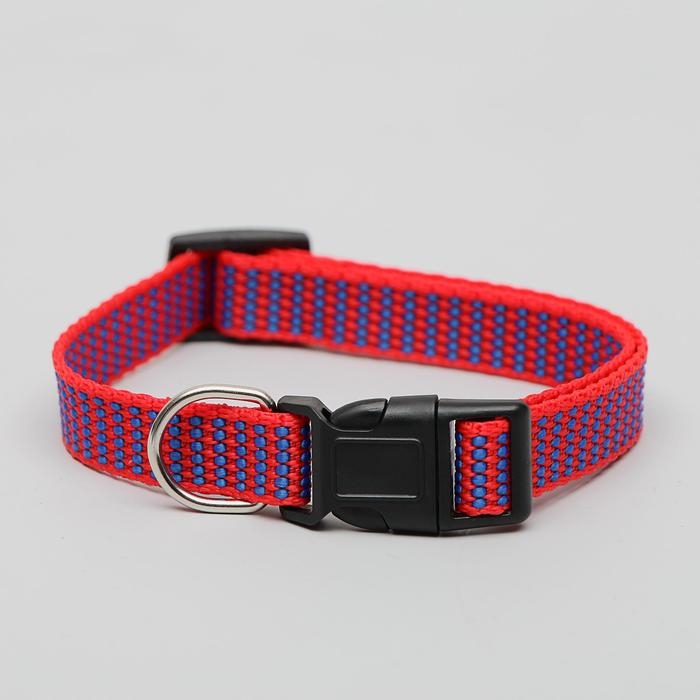 Ошейник рифленый, 40 х 1,5 см, красно-синий Ошейник рифленый, 40 х 1,5 см, красно-синий