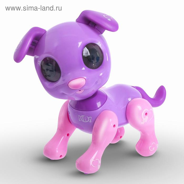 Интерактивная игрушка «Мой друг Кексик», сенсорное управление, световые и звуковые эффекты Интерактивная игрушка «Мой друг Кексик», сенсорное управление, световые и звуковые эффекты