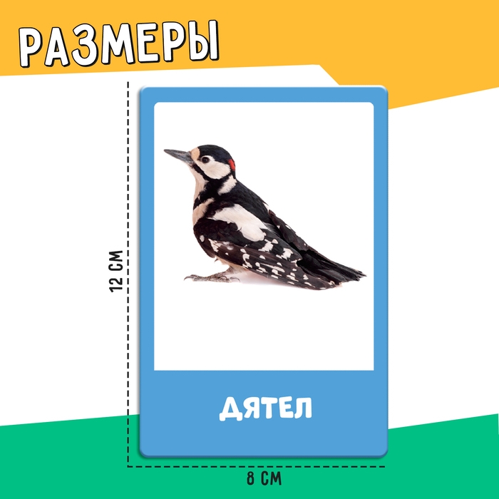 Развивающий набор «Перелётные и зимующие птицы» Развивающий набор «Перелётные и зимующие птицы»